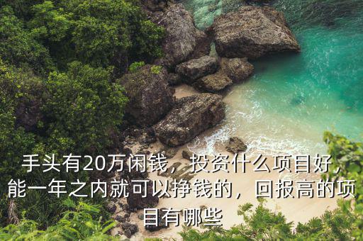 手頭有20萬閑錢，投資什么項目好，能一年之內(nèi)就可以掙錢的，回報高的項目有哪些