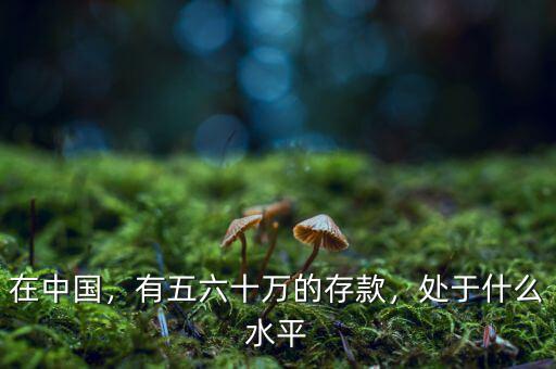 在中國(guó)，有五六十萬的存款，處于什么水平