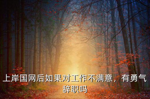 上岸國(guó)網(wǎng)后如果對(duì)工作不滿意，有勇氣辭職嗎