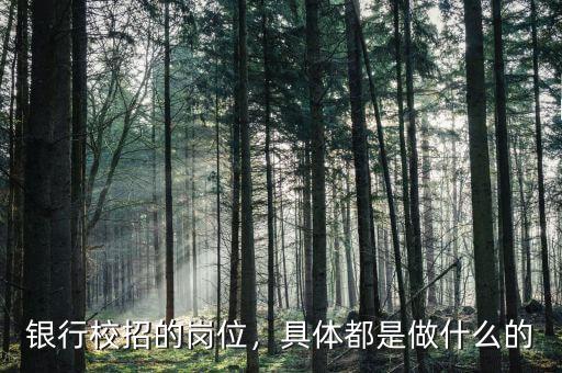 銀行校招的崗位，具體都是做什么的