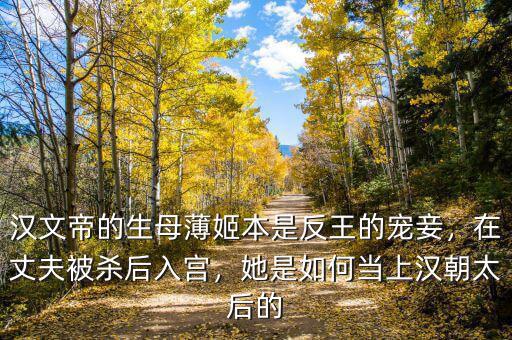 漢文帝的生母薄姬本是反王的寵妾，在丈夫被殺后入宮，她是如何當(dāng)上漢朝太后的