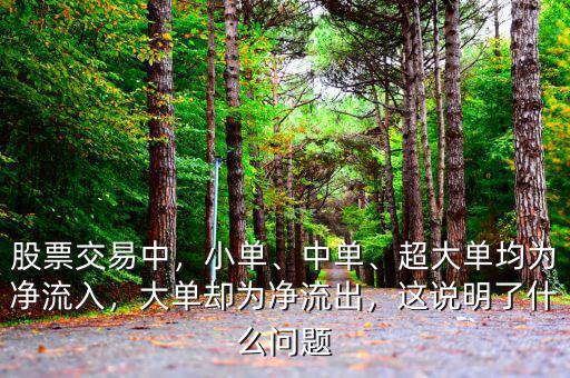 股票交易中，小單、中單、超大單均為凈流入，大單卻為凈流出，這說明了什么問題