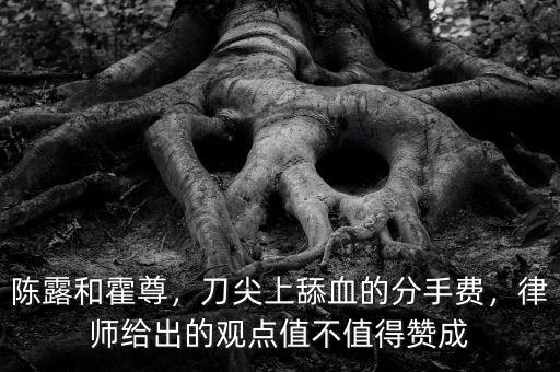 陳露和霍尊，刀尖上舔血的分手費(fèi)，律師給出的觀點(diǎn)值不值得贊成