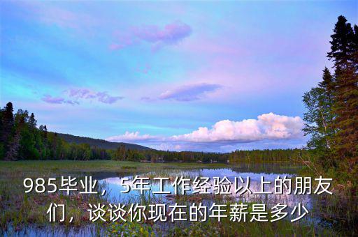 985畢業(yè)，5年工作經(jīng)驗(yàn)以上的朋友們，談?wù)勀悻F(xiàn)在的年薪是多少