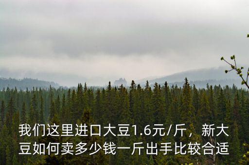 我們這里進(jìn)口大豆1.6元/斤，新大豆如何賣多少錢一斤出手比較合適