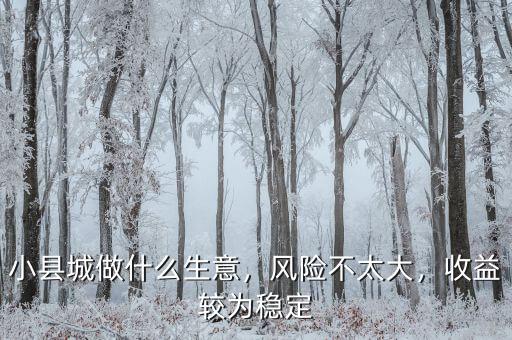 小縣城做什么生意，風險不太大，收益較為穩(wěn)定