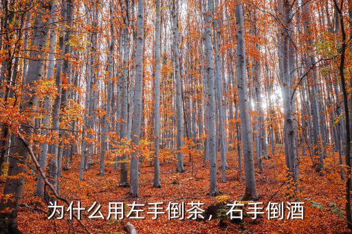 為什么用左手倒茶，右手倒酒