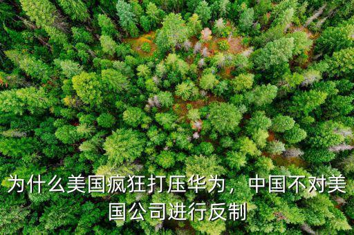 為什么美國瘋狂打壓華為，中國不對美國公司進(jìn)行反制