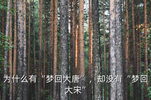 為什么有“夢回大唐”，卻沒有“夢回大宋”