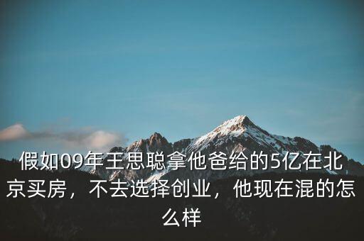 假如09年王思聰拿他爸給的5億在北京買房，不去選擇創(chuàng)業(yè)，他現(xiàn)在混的怎么樣
