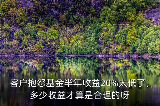 客戶抱怨基金半年收益20%太低了，多少收益才算是合理的呀