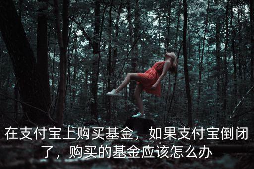 在支付寶上購買基金，如果支付寶倒閉了，購買的基金應該怎么辦
