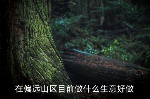 偏遠(yuǎn)城市做什么項(xiàng)目,可用5年。做什么項(xiàng)目好呢