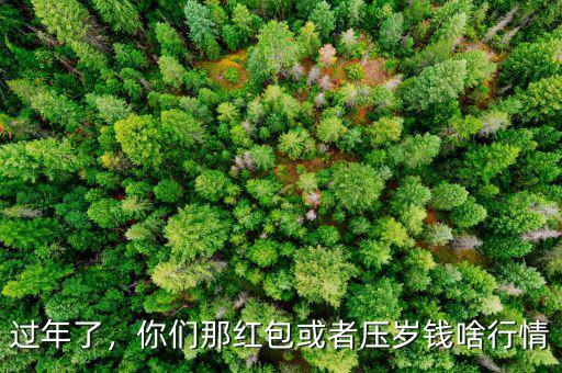 過(guò)年了，你們那紅包或者壓歲錢(qián)啥行情