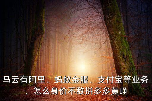 馬云有阿里、螞蟻金服、支付寶等業(yè)務(wù)，怎么身價(jià)不敵拼多多黃崢