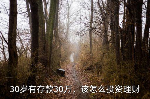 30歲有存款30萬，該怎么投資理財