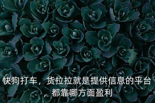 快狗打車，貨拉拉就是提供信息的平臺(tái)，都靠哪方面盈利