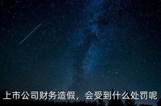 上市公司財務造假，會受到什么處罰呢
