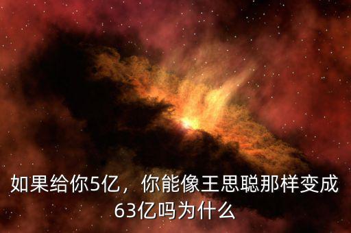 如果給你5億，你能像王思聰那樣變成63億嗎為什么