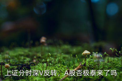 上證分時深V反轉(zhuǎn)，A股否極泰來了嗎