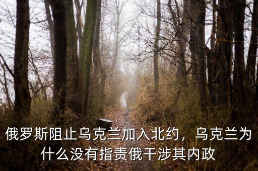 俄羅斯阻止烏克蘭加入北約，烏克蘭為什么沒(méi)有指責(zé)俄干涉其內(nèi)政