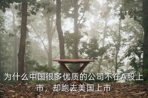 為什么中國(guó)很多優(yōu)質(zhì)的公司不在A股上市，卻跑去美國(guó)上市