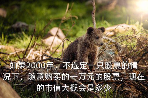 如果2000年，不選定一只股票的情況下，隨意購買的一萬元的股票，現(xiàn)在的市值大概會是多少