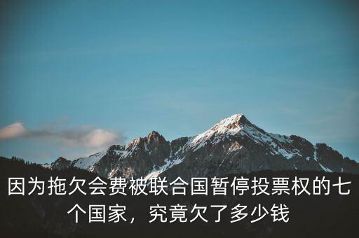 因?yàn)橥锨窌?huì)費(fèi)被聯(lián)合國(guó)暫停投票權(quán)的七個(gè)國(guó)家，究竟欠了多少錢