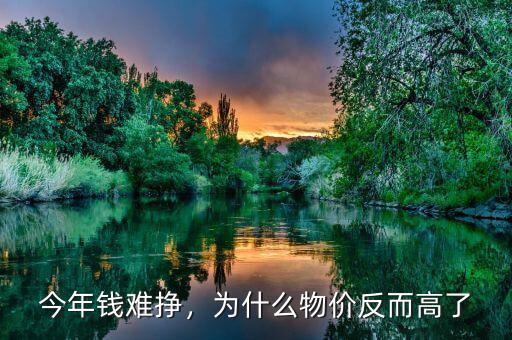 今年錢難掙，為什么物價反而高了