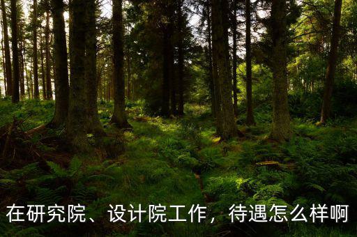 在研究院、設(shè)計(jì)院工作，待遇怎么樣啊