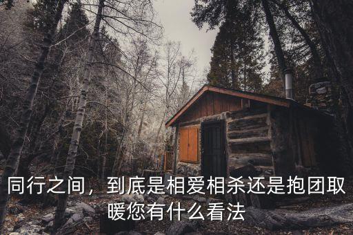 同行之間，到底是相愛相殺還是抱團取暖您有什么看法