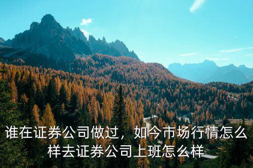 誰在證券公司做過，如今市場行情怎么樣去證券公司上班怎么樣