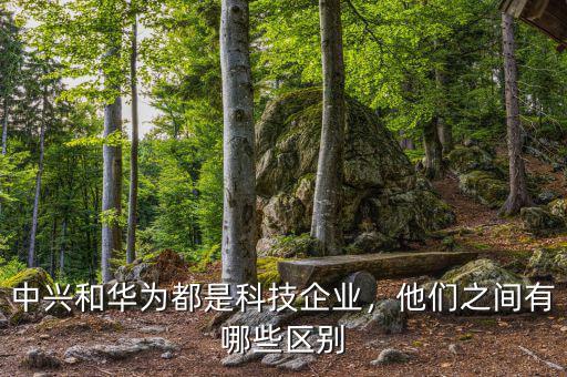 中興和華為都是科技企業(yè)，他們之間有哪些區(qū)別