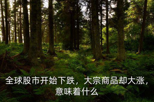 全球股市開始下跌，大宗商品卻大漲，意味著什么
