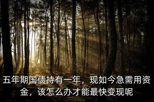 五年期國債持有一年，現(xiàn)如今急需用資金，該怎么辦才能最快變現(xiàn)呢