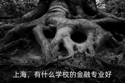 上海，有什么學校的金融專業(yè)好