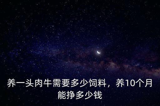 養(yǎng)一頭肉牛需要多少飼料，養(yǎng)10個月能掙多少錢