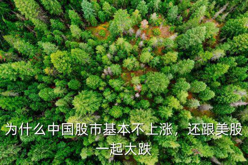 為什么中國股市基本不上漲，還跟美股一起大跌