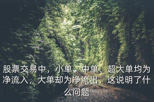 股票交易中，小單、中單、超大單均為凈流入，大單卻為凈流出，這說明了什么問題