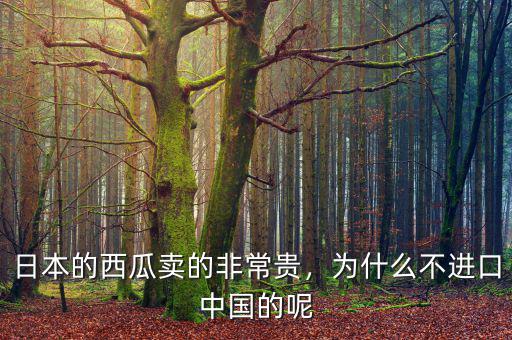 日本的西瓜賣的非常貴，為什么不進口中國的呢