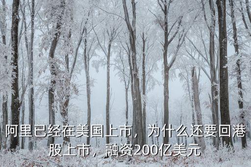 阿里已經(jīng)在美國(guó)上市，為什么還要回港股上市，融資200億美元