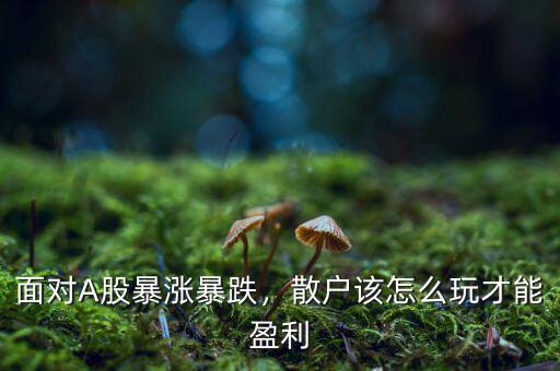 面對(duì)A股暴漲暴跌，散戶該怎么玩才能盈利