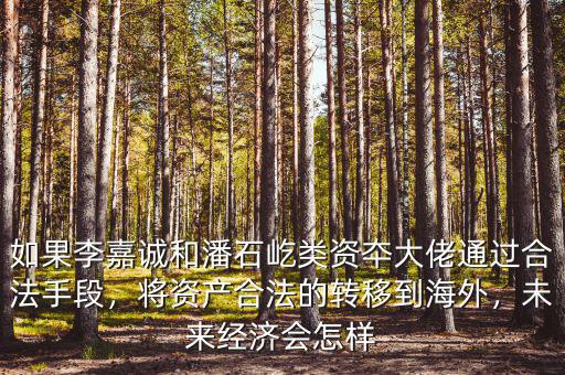 如果李嘉誠和潘石屹類資夲大佬通過合法手段，將資產(chǎn)合法的轉(zhuǎn)移到海外，未來經(jīng)濟(jì)會怎樣