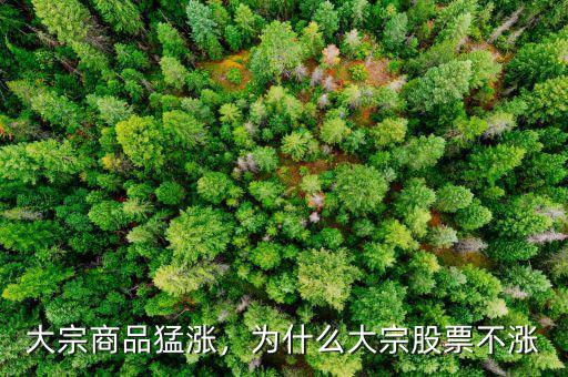 大宗商品猛漲，為什么大宗股票不漲