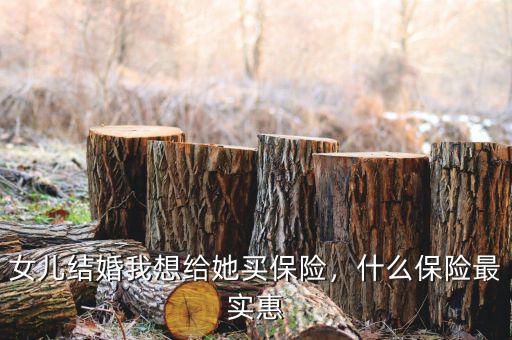 女兒結(jié)婚我想給她買保險(xiǎn)，什么保險(xiǎn)最實(shí)惠