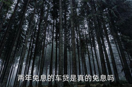 汽車(chē)貸款免息免手續(xù)費(fèi)是什么,購(gòu)車(chē)免息免服務(wù)費(fèi)是什么套路