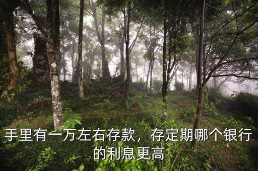 手里有一萬左右存款，存定期哪個銀行的利息更高