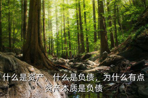 什么是資產(chǎn)，什么是負(fù)債，為什么有點(diǎn)資產(chǎn)本質(zhì)是負(fù)債