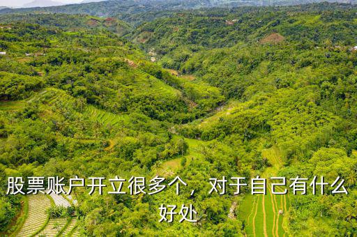 股票賬戶開立很多個，對于自己有什么好處
