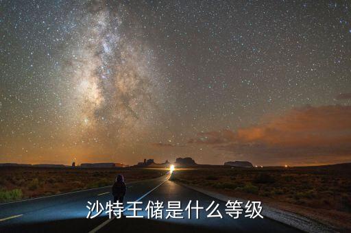 沙特國(guó)王的閘門(mén)是指什么,沙特王室的生活是怎么樣的